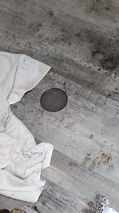 379K views · 293 reactions | 911 Today was not all rainbows and catnip... We have an emergency and are told we need a plumber with a camera to run down the line and a "blaster". Today was $400 just to tell us that. It is estimated a blaster is $350 an hour.  Who can help?? What plumbers might be able to help get us back in business? We can't use the washer/dryer and bathroom until this is resolved. HELP!!!  | Watching Over Whiskers | Facebook