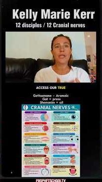 The Twelve Disciples of SECRET ALCHEMY!