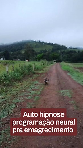 Auto hipnose programação neural pra emagrecimento | Fernanda Goncalves da Silva | Facebook