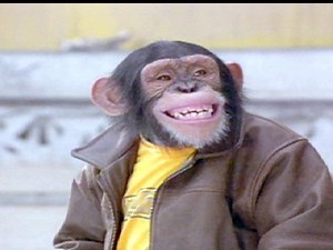 MVP 2: Most Vertical Primate (2001)