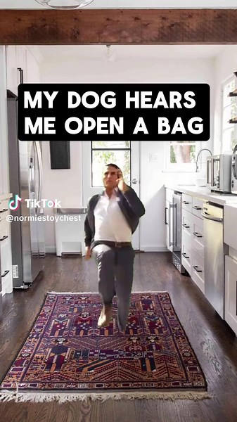 It's Just the Mail: A Dog's Reaction