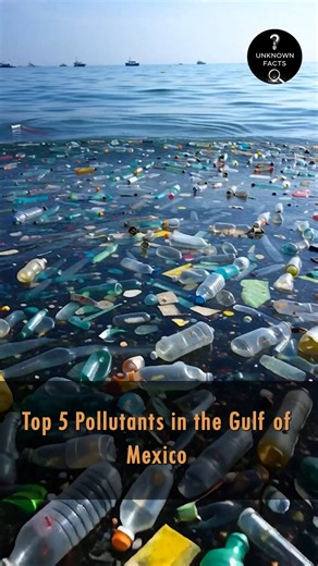 Top 5 Pollutants in the Gulf of Mexico | Unknown Facts