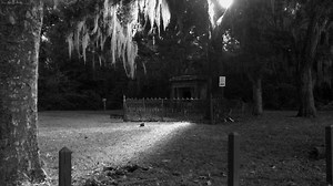 11K views · 65 reactions | Beaufort County is one of the oldest places in the country — and legend says it's also one of the most haunted. From haunted houses, to mausoleums and abandoned church ruins, here's a look at its spookiest places — and the ghosts that roam them. | The State Newspaper | Facebook