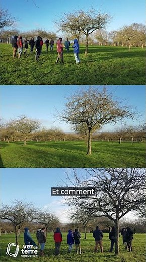 Making Cider: From Apple to Bottling, A. Arbeaumont