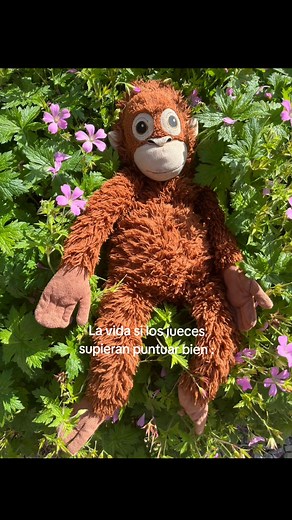 La gimnasia rítmica y la importancia de los jueces