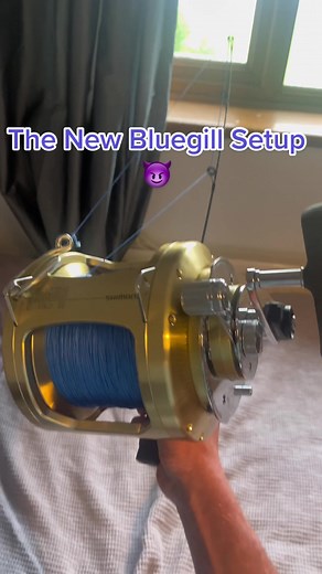 Bluegill Fishing with Shimano Tiagra 130 Setup