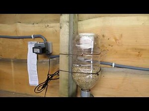 distributeur automatique grain poules