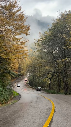 ‎Iran shomal شمال بهشت ایران‎ on Instagram‎: "طبیعت زیبای سیاهکل یا موزیک؟😍کدومش قشنگتره؟؟ @iran_shomal_pic معرفی زیباترین لوکیشنهاازشمال «از اکسپلو ر اومدی پ یج ما رو فا لو و‌به دوستانت معرفی کن» @iran_shomal_pic"‎