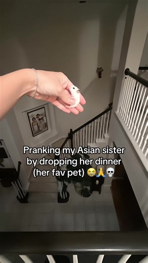 I should’ve grabbed the REAL one smh 💀 #ai #hamster #prank #asian | prank