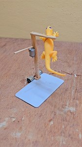 342K views · 802 reactions | New Lizard trap with DC motor single stick #engineering #trap #funny #lizard #viral | Science & Engineering | Facebook