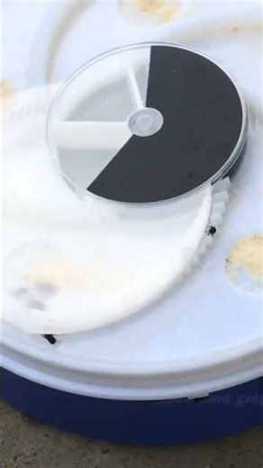 Fly trap revolutionizes pest control! Non-toxic, effective.