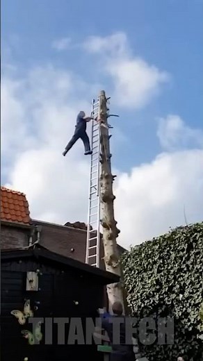 Insane Tree Cutting Fails That Almost Ended Their Life