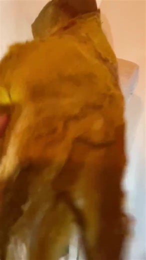 Gold Nuno Hand Felted Wool Scarf - Etsy