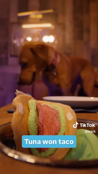 Introducing FLAVORTOWN FOR DOGS. Next month’s Barkbox is officially designed more maximum dog deliciousness with the king of flavor himself, Guy Fieri. Get it on our website now!