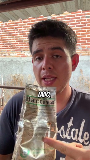 Así es como tendrás el 95% de germinación de tus semillas