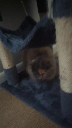 Kayden randon stuff on TikTok