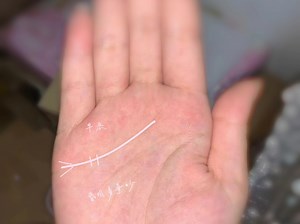 手相分析 掌纹的秘密 国学经典智慧传承