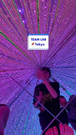 Explorando el Museo Inmersivo más Increíble de Tokio con TeamLab
