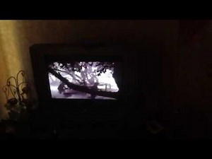 The Werewolf 1941 Full Movie