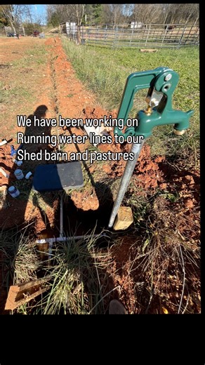 It took us a few months but we finally did it!! #horsefarm #farmlifeisthebestlife #lovemyhorses | The Painting Pony