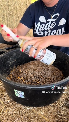 From High Voltage Cattle : Oregon | Matt Lautner Cattle