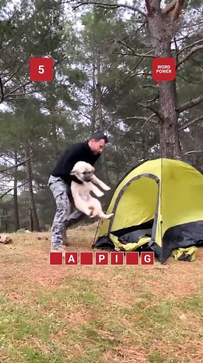 Use the video clues to figure out the word! #wordgame #puzzle #wordgames #words #game #puzzles #games #wordplay #braingames #wordpuzzle #wordle #crossword #puzzles #fun | Reader's Digest