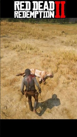"He Tried to Kill Me... So I Ended Him 😤 | RDR2 Puma Attack!"