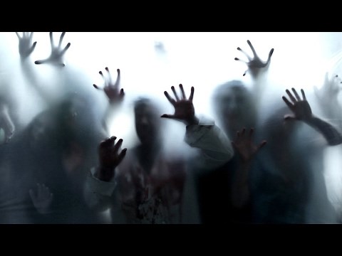 Como baixar e usar o Wallpaper Engine (via Steam)