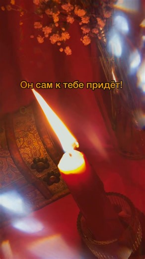 Candle Light and Dried Flowers: Aesthetic Video