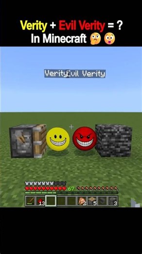 Verity + Evil Verity = ? In Minecraft 🤔😲