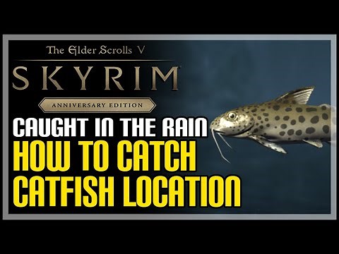 Catfish Locations Skyrim (How to Catch Catfish)