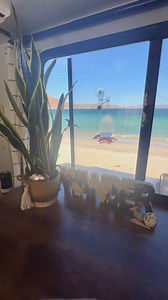 Watch Bring the Hummingbirds to Your Window While You Camp! on Amazon Live