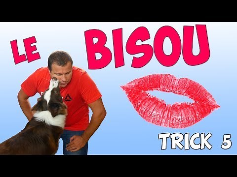 APPRENDRE à ton CHIEN à faire des BISOUS