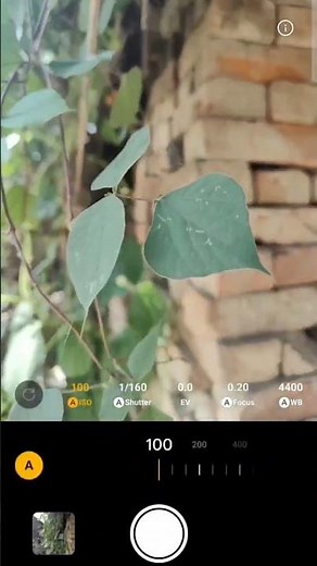 Mobile Photography Pro Mode | Street Photography Shots