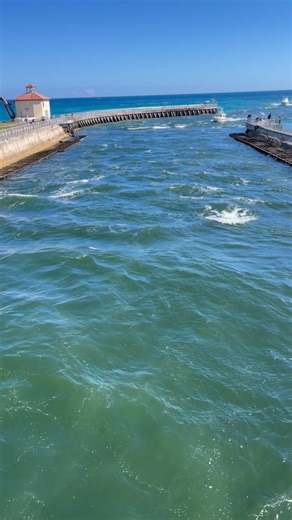 1.3K views · 708 reactions | The Struggle is real. #WelcomeToBoyntonBeach #boyntonbeachwelcomesyou #boyntonbeach #boyntoninlet # | Welcome To Boynton Beach | Facebook