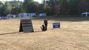 Alle Videos online! Jetzt alle Videos der WM der Bouvier des Flandres 2022 auf working-dog.com ansehen! https://www.working-dog.com/results-category/100428/World-Championship#evt188643 working-dog: Share your Passion! | Working-dog