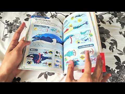 Pokécology Flip-Through