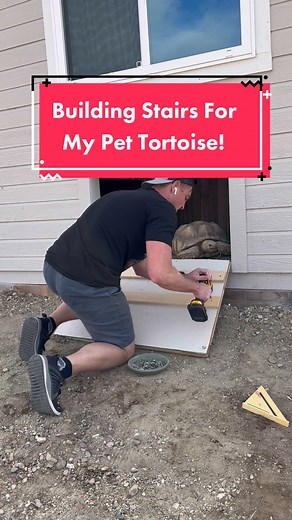 DIY Tortoise Stairs: Building a Pet-friendly Environment for Hank