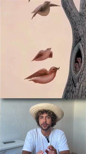 cual es tu personalidad segun este test?