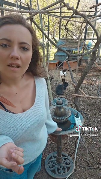 Installation d'une Fontaine pour les Oiseaux : Super Tuto