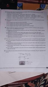 During a reflex action, if a person touches a hot object, which... | Filo