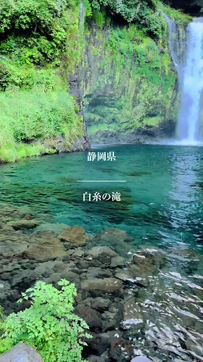 静岡県にある「白糸の滝」 富士山の雪解け水が流れてる滝でめっちゃ透き通っててめっちゃ綺麗やった！ #日本#白糸の滝#静岡県 #Japan#sizuoka