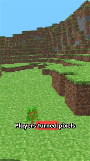 Minecraft: A Canvas for Creativity