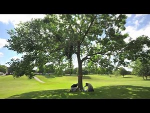 ArborJet Treatments by Preservation Tree Service