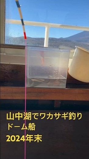 山中湖でワカサギ釣り ドーム船 #釣り #ワカサギ