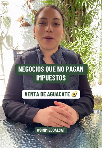 Beneficios Fiscales en la Venta de Aguacates