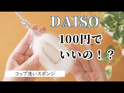 【ダイソー】100円でいいの！？｜コップ洗いスポンジ