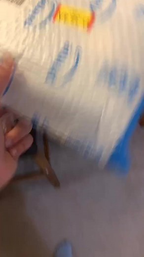 Stylophone Camelet Let's Go Original Video