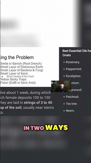 Benefits of diatomaceous earth!