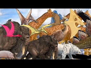 Animal stampede dinosaur running animals video stampede animals land animals stampede animal video